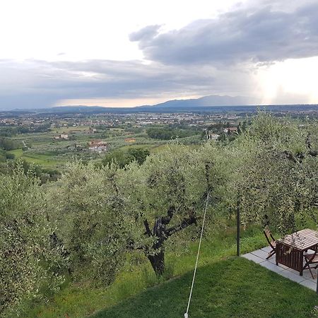 Il Fienile De La Cavallina Larciano ภายนอก รูปภาพ